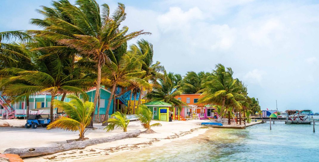 ambergris-idb-article